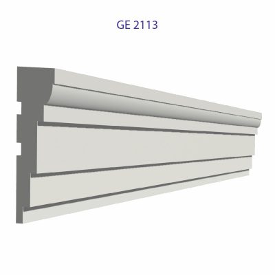 GE2113