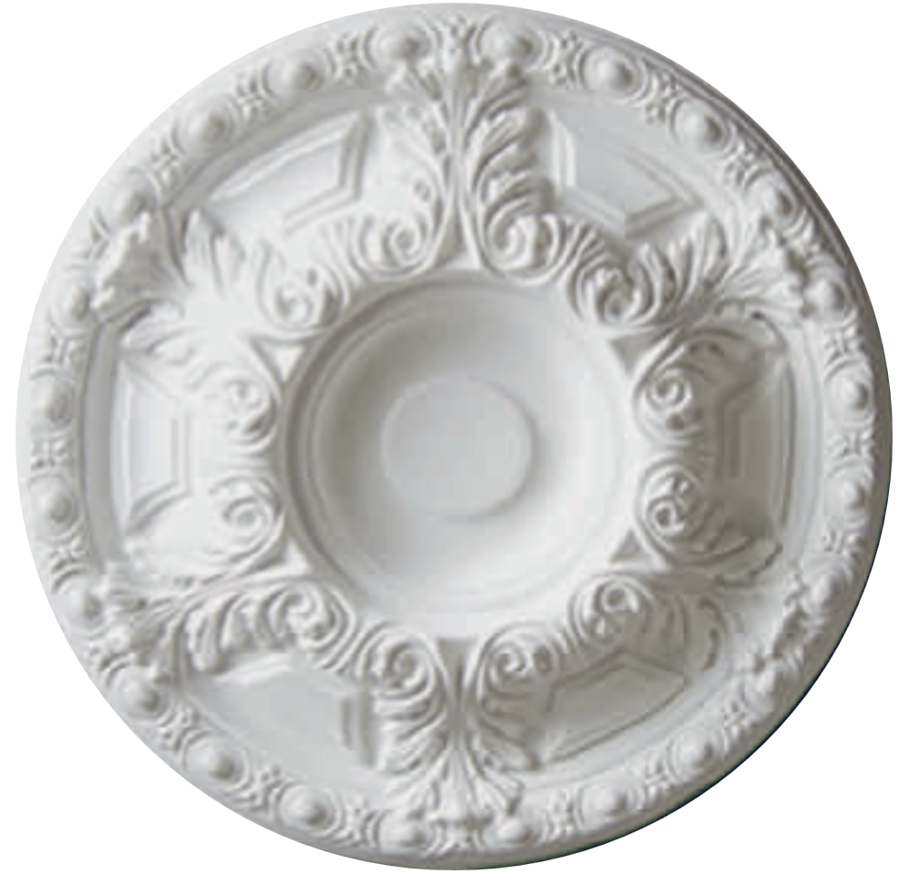 50+ 60 גדליים שונים