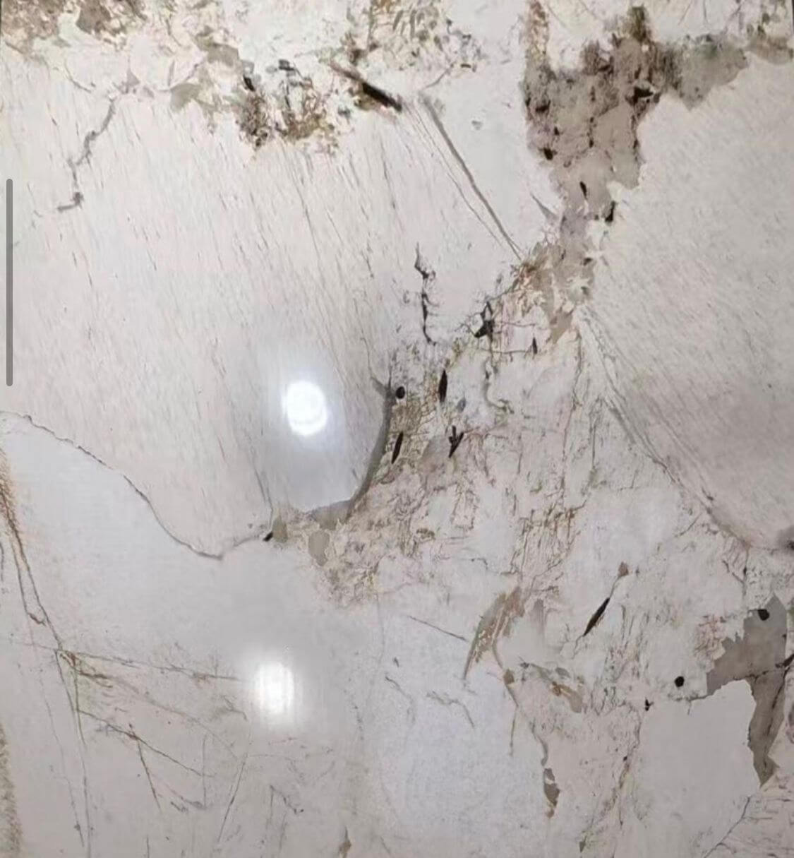 טרנדי שילוב מנצח